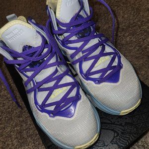 LeBron Nike basketball shoes